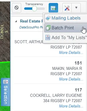 Mapping Batch Print